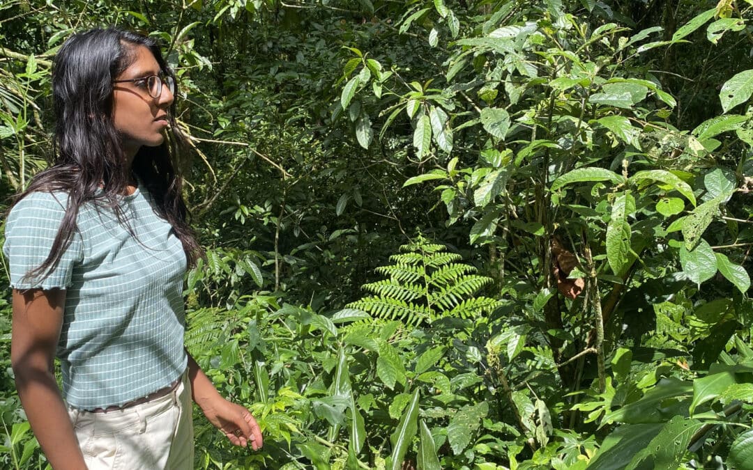 Welke naam heb jij gekregen?